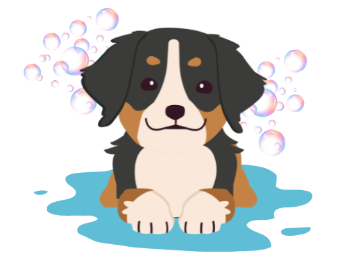 Oh my dog toilettage